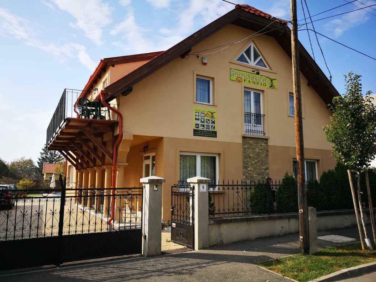 Borostyan Panzio Balatonfuered住宿加早餐旅馆 外观 照片